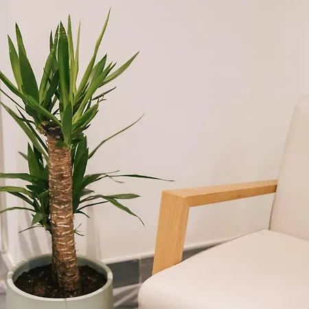 Debambu Atarazanas 4*