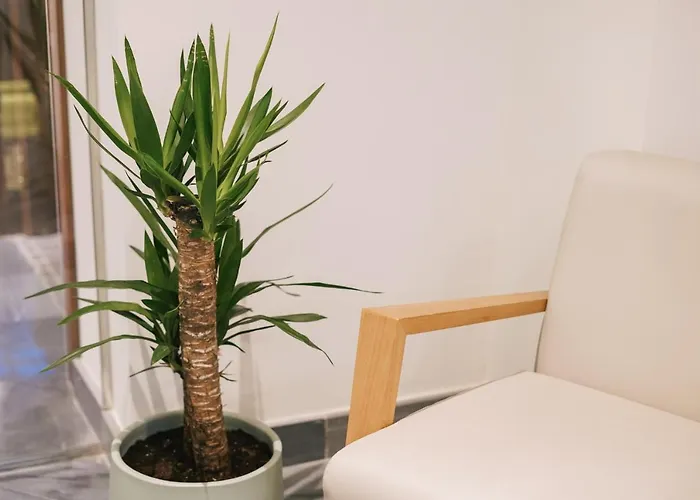 Debambú Atarazanas 4*